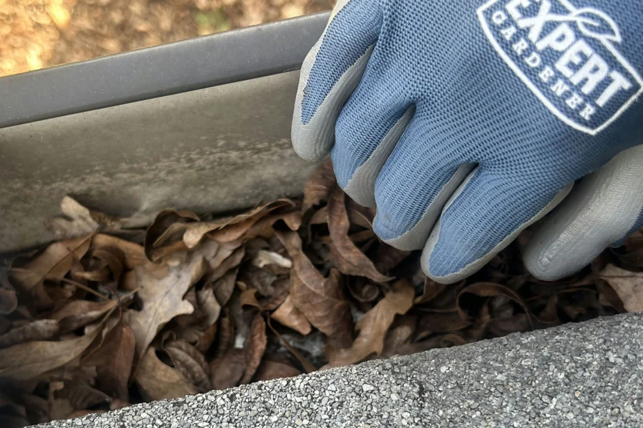 Gutter Cleaning Cecilia