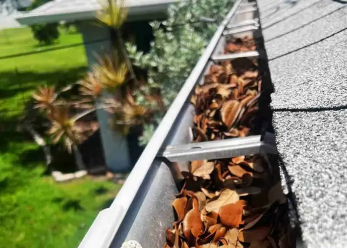 Gutter Cleaning Cecilia home page